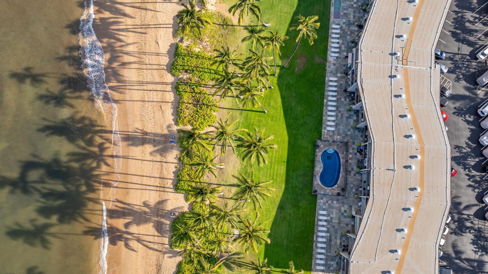 Apartamento Hale Kai O'Kihei 317 Exterior foto
