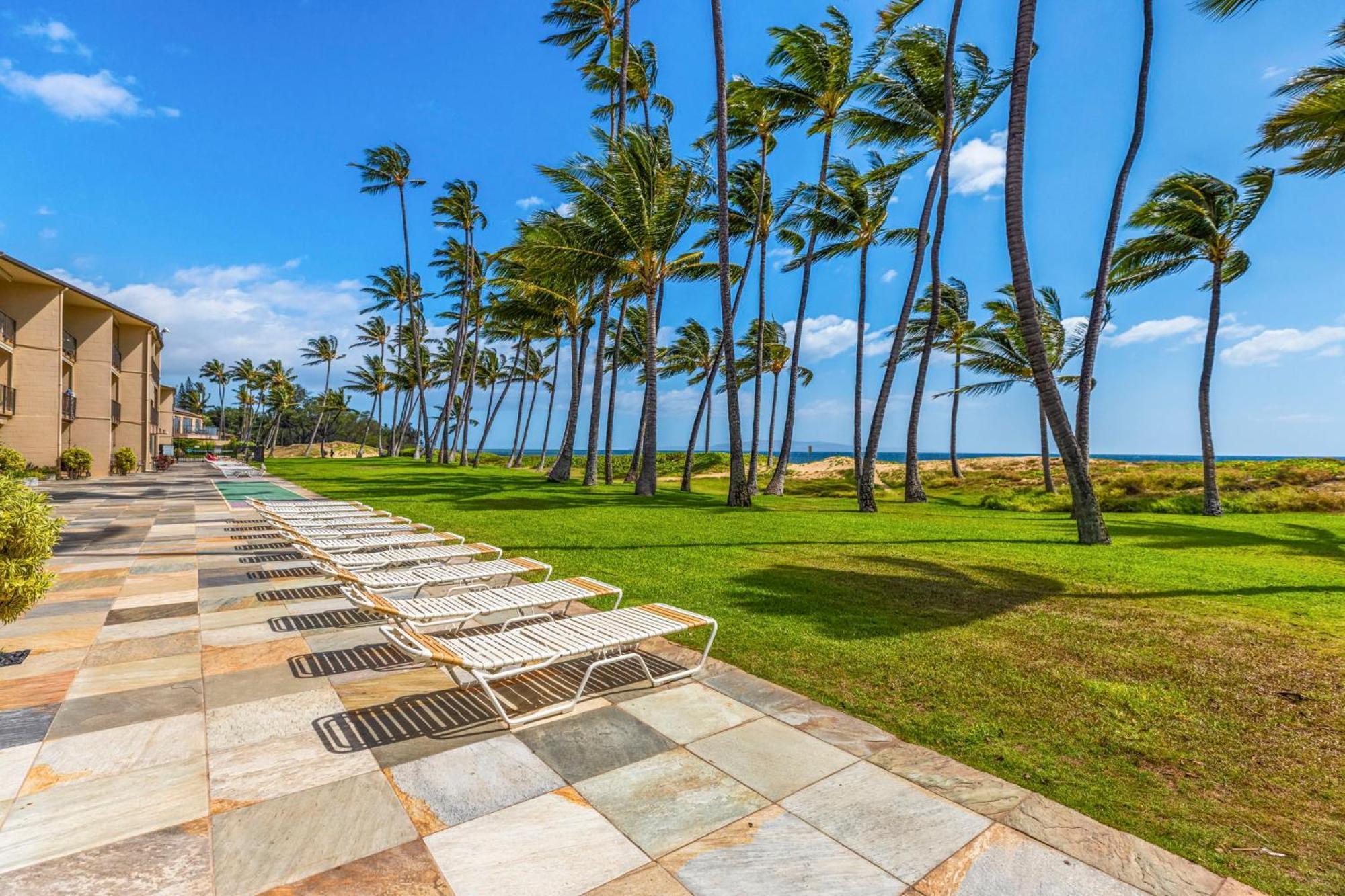Apartamento Hale Kai O'Kihei 317 Exterior foto