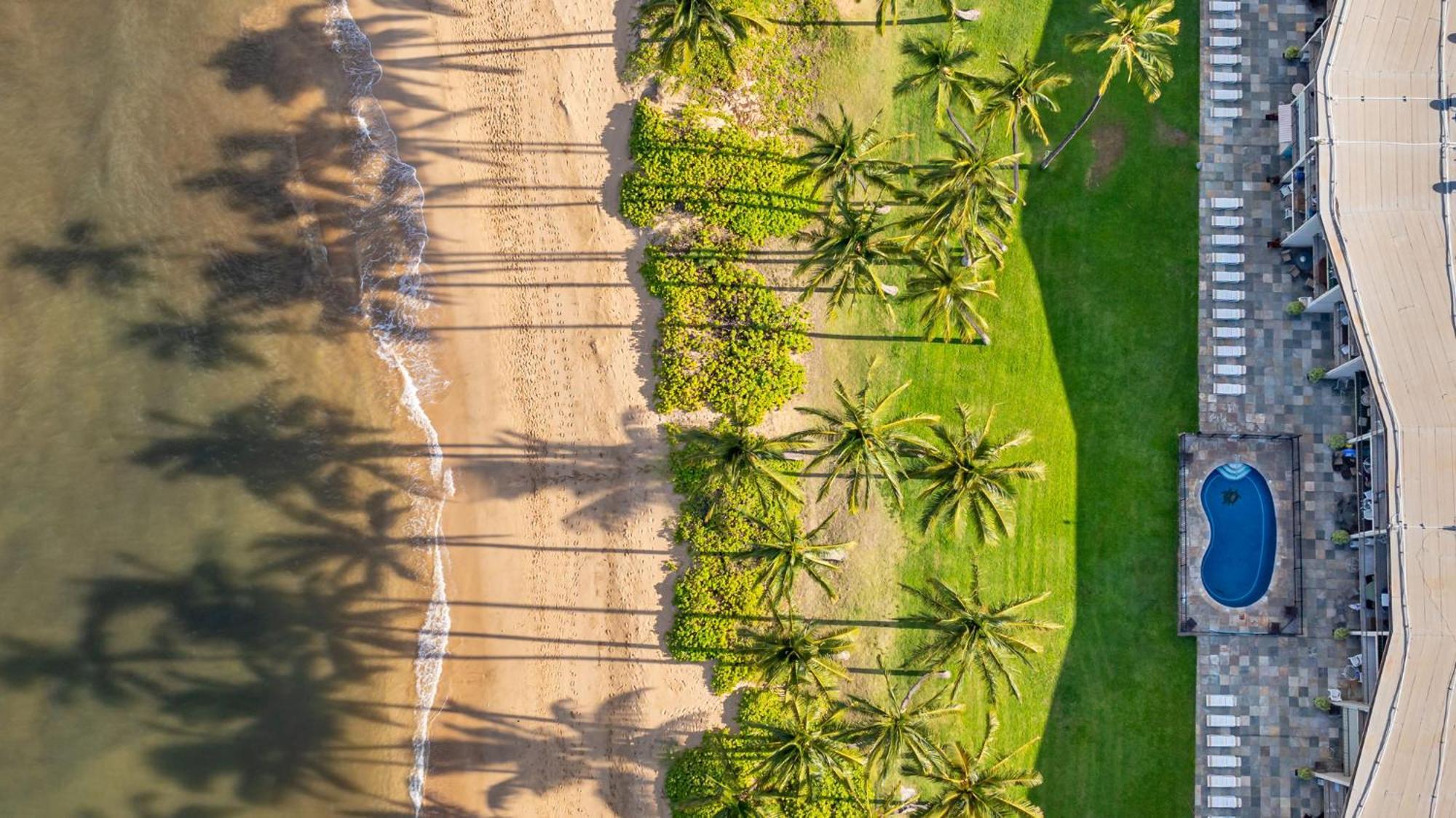 Apartamento Hale Kai O'Kihei 317 Exterior foto