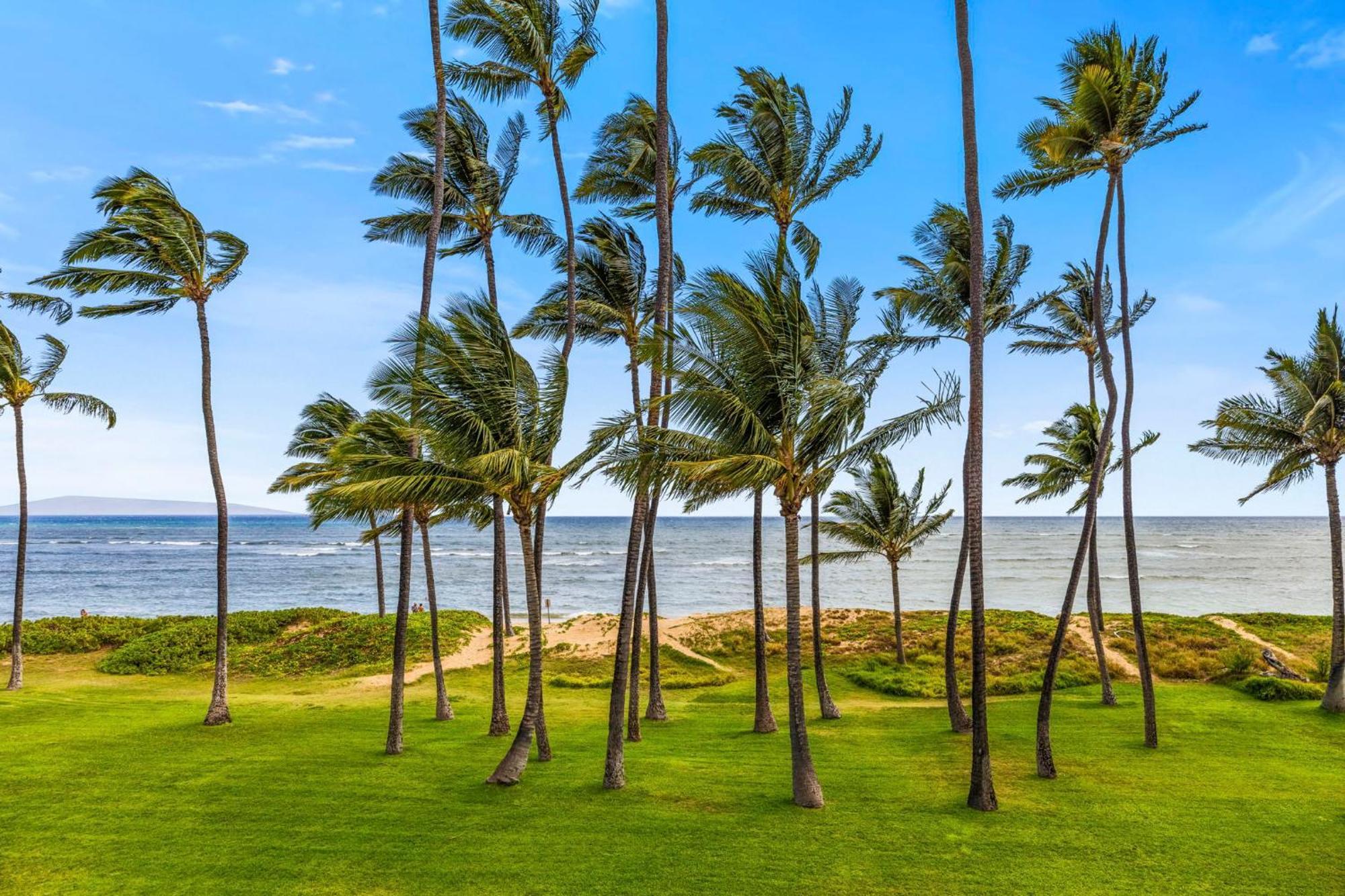 Apartamento Hale Kai O'Kihei 317 Exterior foto