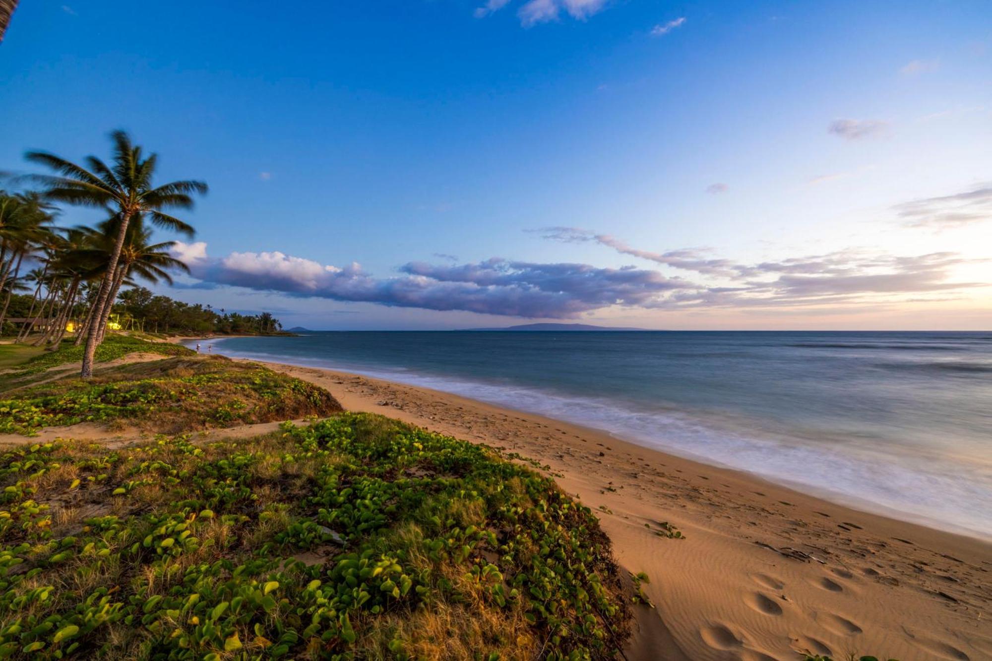 Apartamento Hale Kai O'Kihei 317 Exterior foto