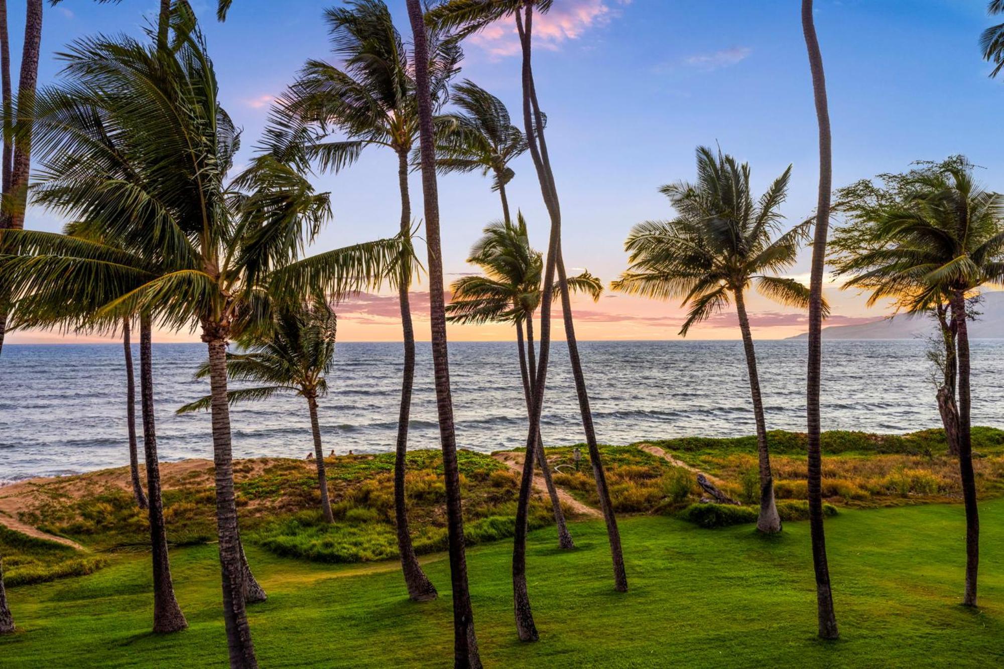 Apartamento Hale Kai O'Kihei 317 Exterior foto